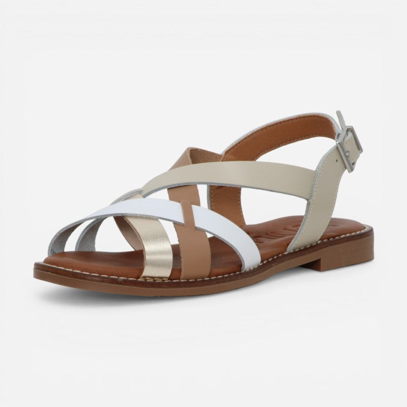 Nova Camel Multi