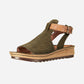 Verbena Blue